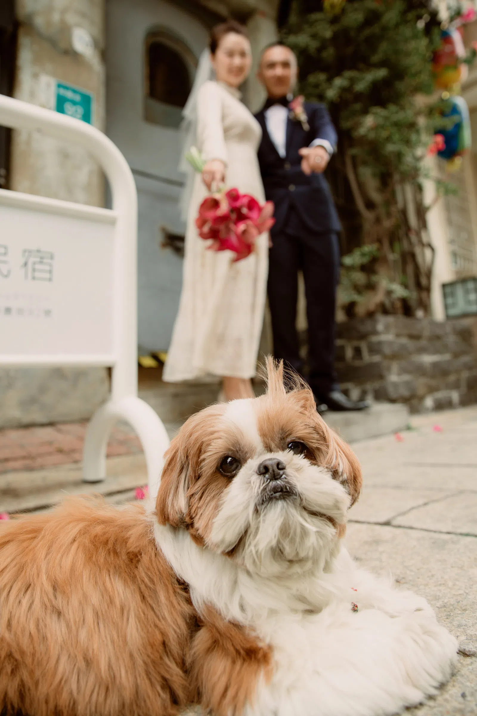 新人在街巷散步與生活寫真，結婚登記作品 03 第 26 張